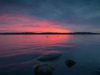 如何应对现代职场压力？